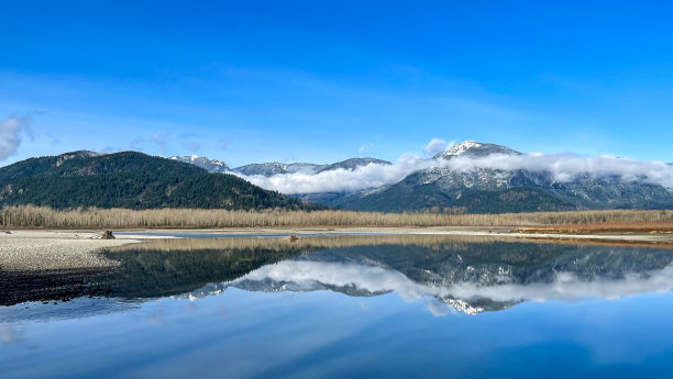 河畔清晨图片下载