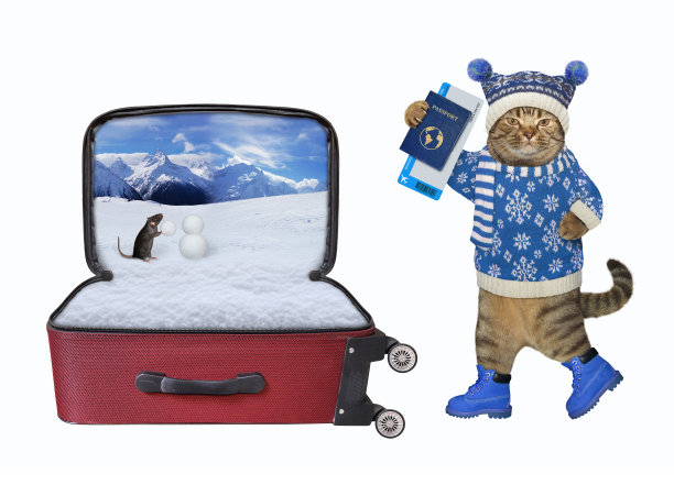 猫要去滑雪胜地图片下载