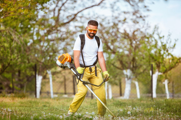 一个人用汽油修剪机割厚草图片下载