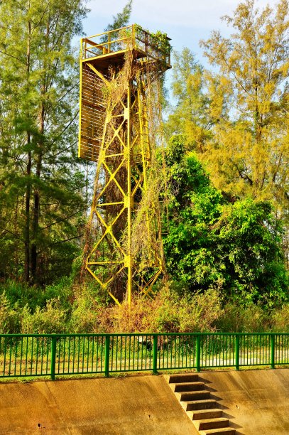 旧的瞭望塔图片下载