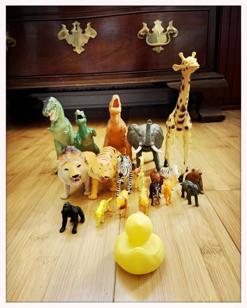 野生玩具动物在地板上图片下载