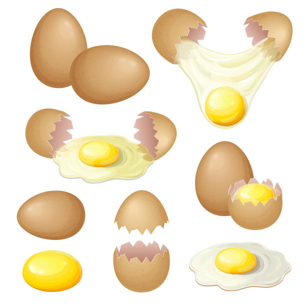套在不同形式的棕色鸡蛋孤立在白色，新鲜鸡蛋收集。早餐吃煎生鸡蛋、煎蛋卷、破蛋壳和全蛋黄。向量现实的例证。图片下载