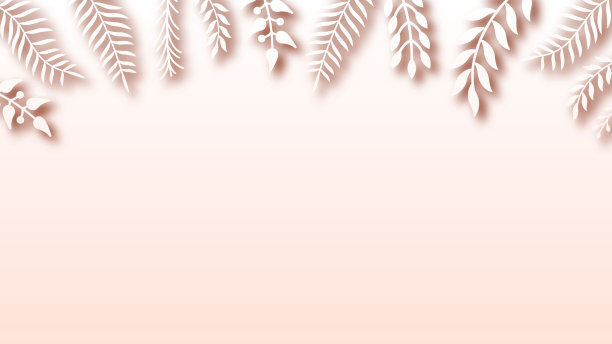 抽象背景夏季叶与阴影矢量设计风格模板图片下载