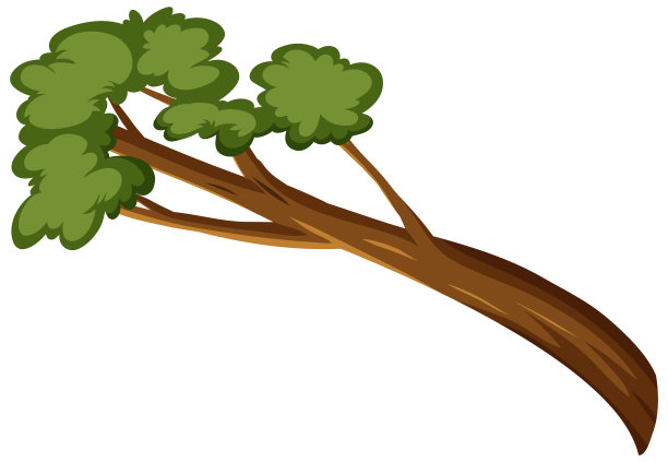 在白色背景上孤立的单一热带雨林树枝图片下载