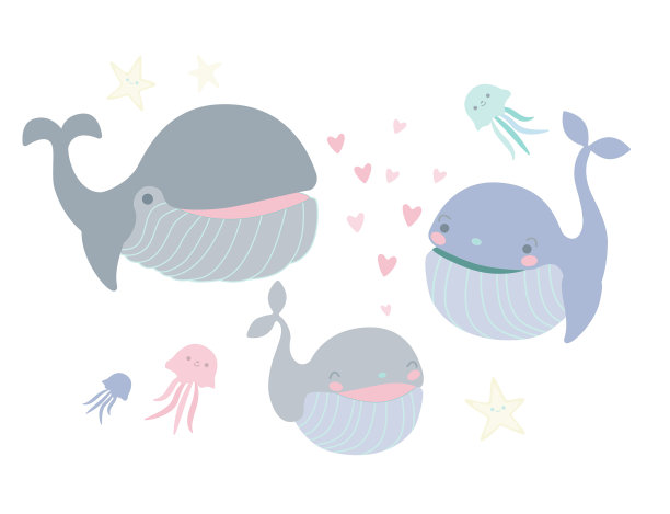 词鲸鱼的一天。鲸鱼的家庭。颜色图片下载