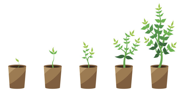 花盆的增长过程。平面向量。股票的形象。每股收益10。图片下载