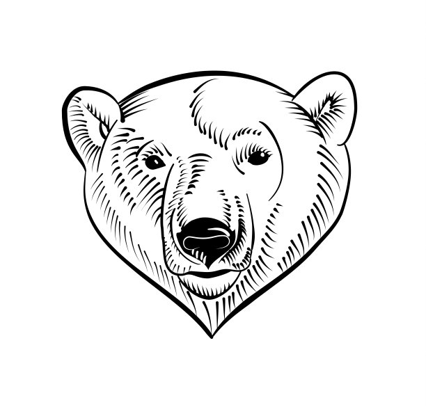 线性北极熊头部图像。素描风格。图片下载
