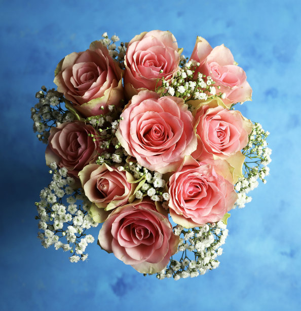 玫瑰花束。图片下载