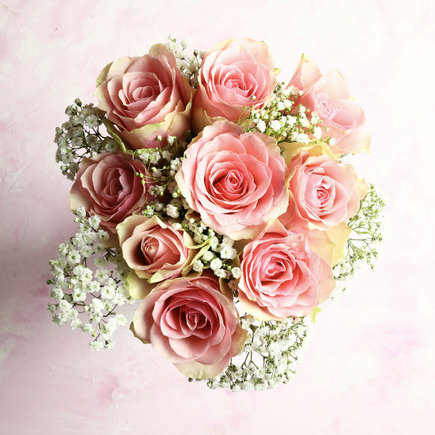 玫瑰花束。图片下载