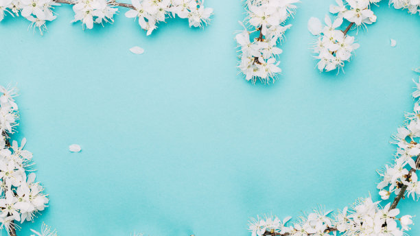 樱花的背景与花盛开和四月花的自然蓝色。美丽的景色与盛开的树。复活节晴天。果园抽象模糊的背景。春天。图片下载