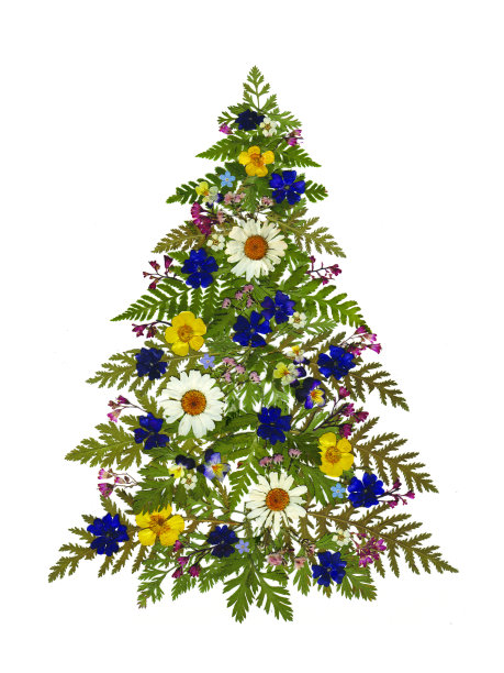 压花圣诞树在白色图片下载