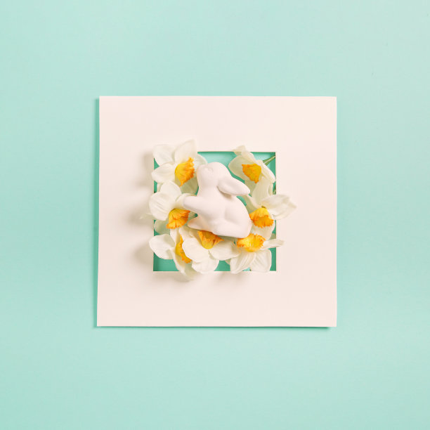 复活节兔子和水仙花在白色框架的粉彩背景上的创造性组成。最小的假日概念图片下载