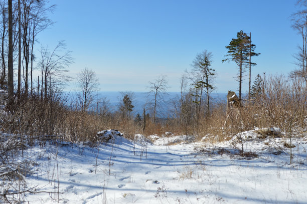冬季景观与清澈的蓝天。Cicarija山,克罗地亚图片下载