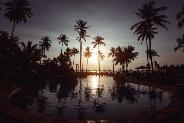 棕榈树的剪影和热带海滩上美丽的日落。图片下载