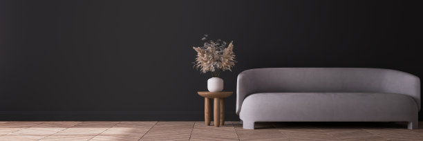 现代深色客厅设计，米色简约沙发在空黑色墙面上模拟起来，全景图片下载