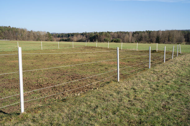 马的圈地景观图片下载