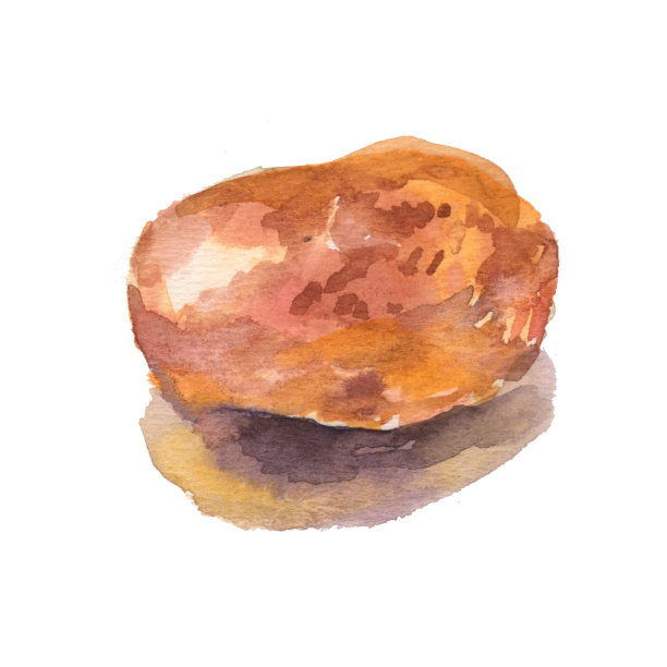 生土豆。水彩手绘插图孤立的白色背景图片下载