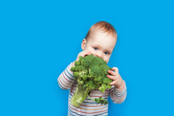 蓝色背景的花椰菜，健康的婴儿食品。儿童补充蔬菜喂养。图片下载