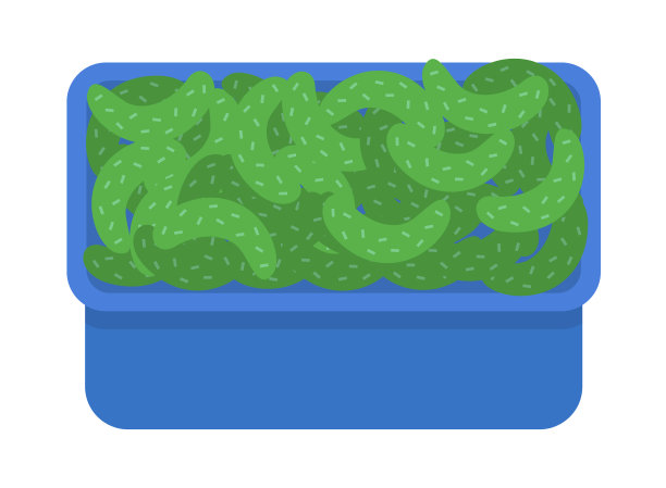 蓝盒子里装着熟透的黄瓜图片下载