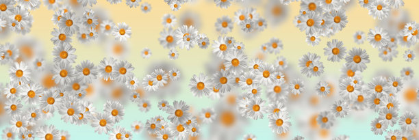 春夏装的概念。洋甘菊花图案背景。花图案设计，墙纸，织物。三维演示图片下载