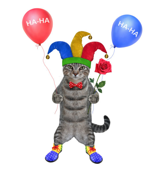 猫灰色小丑拿着玫瑰和气球图片下载