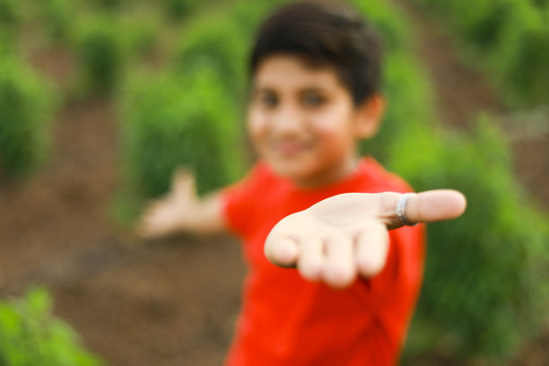 可爱的印度孩子在农田里图片下载