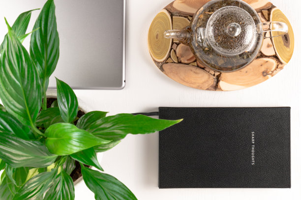 木架上的凉茶玻璃茶壶，灰色的写字板，绿色的植物，白色的桌子上的笔记本图片下载