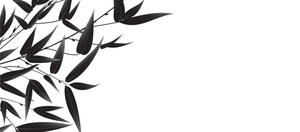 为你的网站手绘的竹枝图片下载