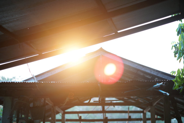 早晨的阳光照在农场的牛棚屋顶上图片下载