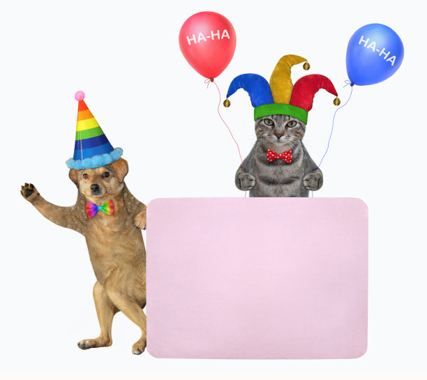 粉色空白海报附近的宠物小丑图片下载