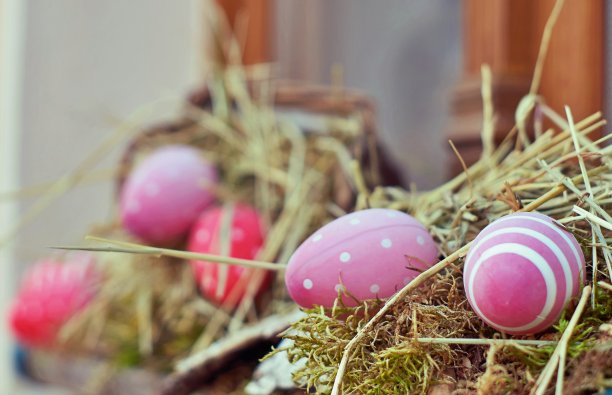 农村复活节装饰图片下载