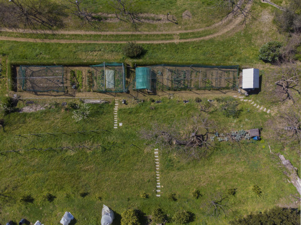我的生物花园的航拍照片图片下载