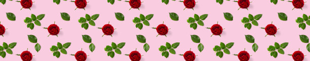 玫瑰花蕾横幅。玫瑰花头孤立在粉红色无缝隙图案上，波普艺术图片下载