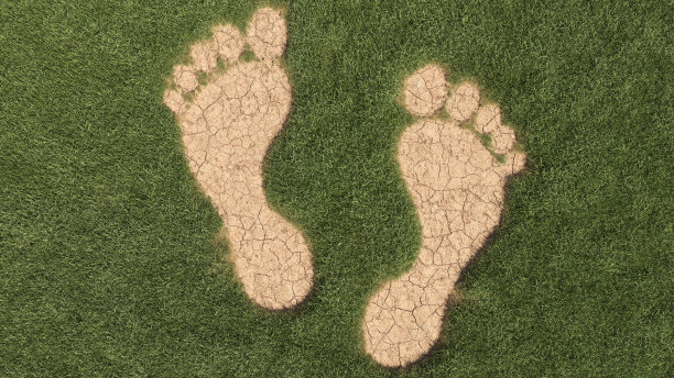 草原中央的碎土脚印图片下载