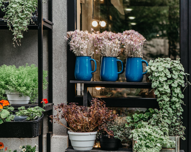 城市花园、商店及装饰、橱窗设计元素图片下载