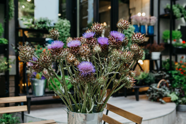 在covid-19大流行期间，花束和植物送货上门的想法图片下载