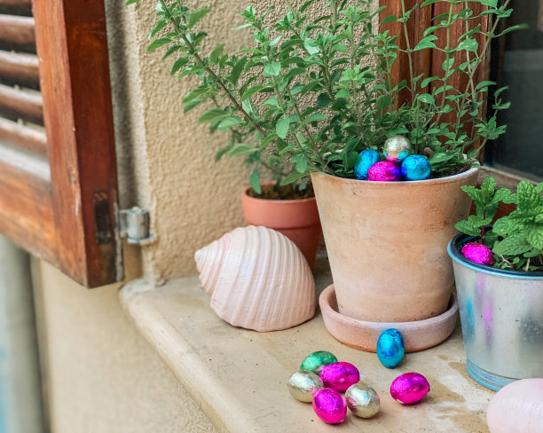 在家里种植巧克力复活节彩蛋图片下载