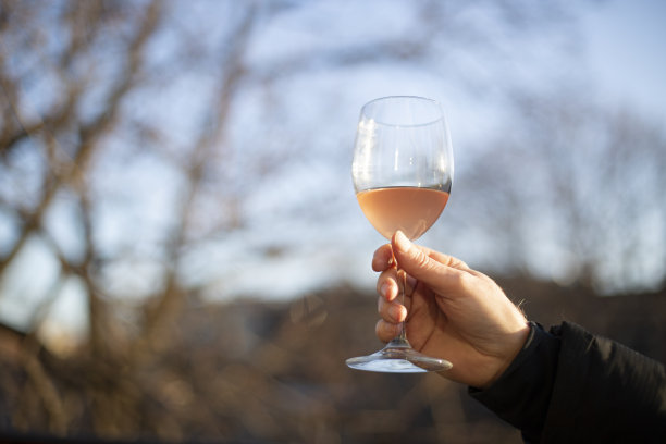 柳橙酒图片下载