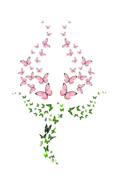 许多蝴蝶以郁金香的形式出现在白色的背景上。红色的花蕾。热带昆虫。用于设计的彩色飞蛾图片下载