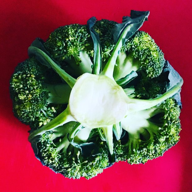 西兰花图片下载