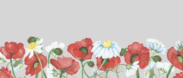 水彩手绘自然野生花卉旗帜框架与红色罂粟花和白色洋甘菊花束在米色背景邀请和问候卡与文字空间图片下载