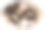一个可爱的新生男婴的近距离脸被她的母亲抱在她的腿上亲吻。一个月大，可爱的蹒跚学步的婴儿。印度的种族。前视图。母亲节快乐的背景图片。图片下载