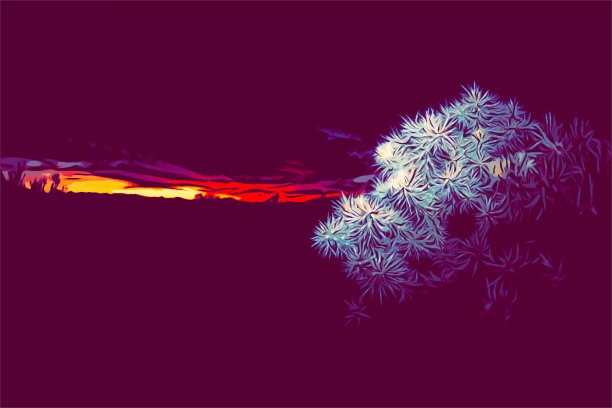 仙人掌和日落渲染图片下载