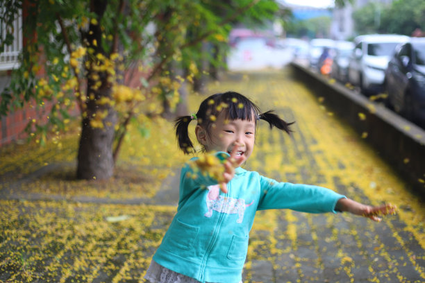 两个微笑的亚洲女孩在人行道上采摘金雨树的叶子并将其抛向地面图片下载