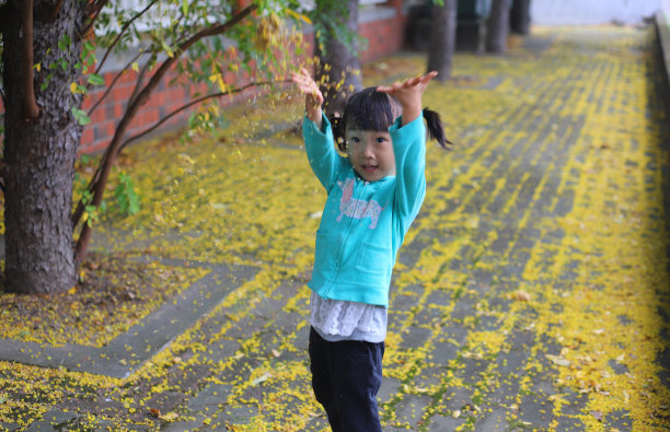 两个微笑的亚洲女孩在人行道上采摘金雨树的叶子并将其抛向地面图片下载
