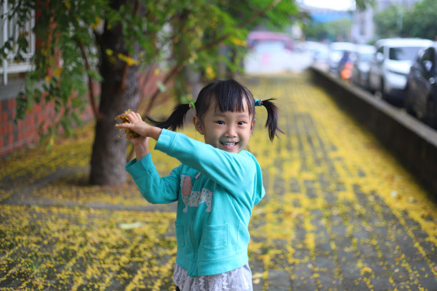 两个微笑的亚洲女孩在人行道上采摘金雨树的叶子并将其抛向地面图片下载