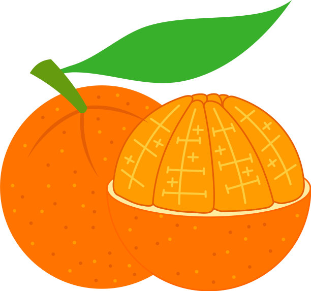 橙色设计切片部分图片下载