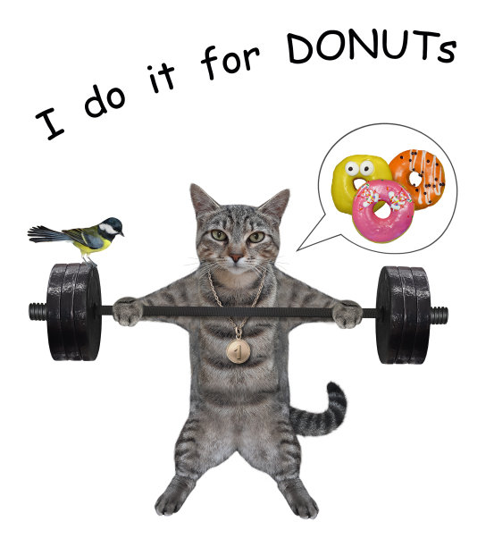 猫格雷2运动员举起杠铃图片下载