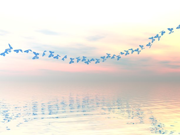 美丽的海景和蝴蝶图片下载