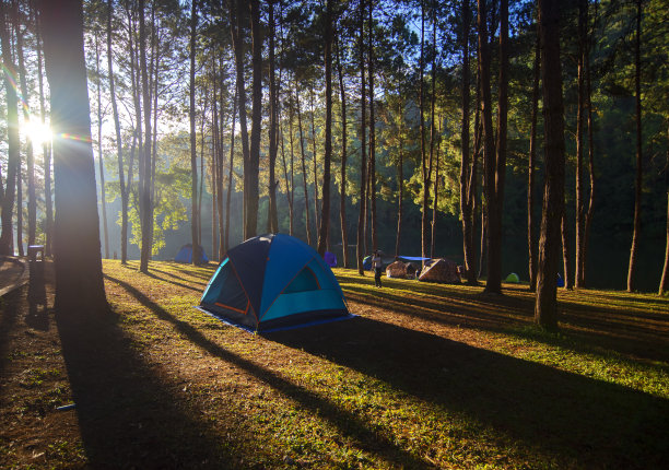 美丽的自然湖泊和森林，庞昂湖和松树林，在泰国Mae Hong Son，泰国的自然景观。庞昂是泰国很受欢迎的旅游目的地图片下载